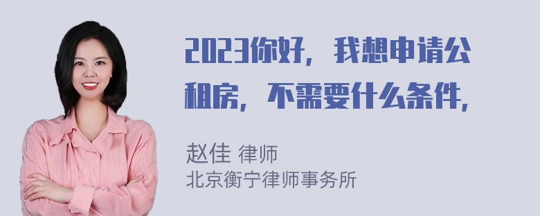 2023你好，我想申请公租房，不需要什么条件，