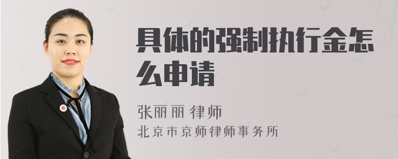 具体的强制执行金怎么申请