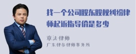 找一个公司股东股权纠纷律师起诉指导价是多少