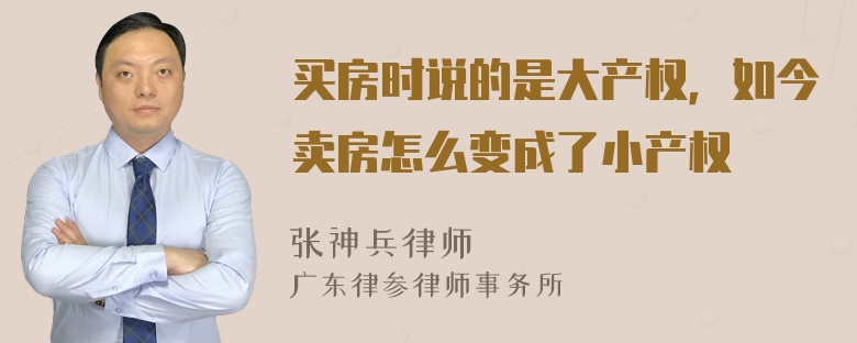 买房时说的是大产权，如今卖房怎么变成了小产权