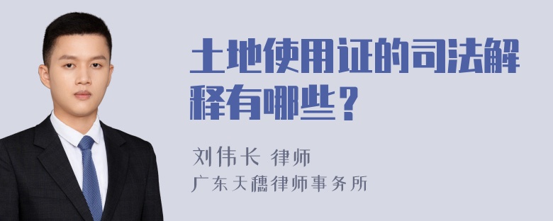 土地使用证的司法解释有哪些？