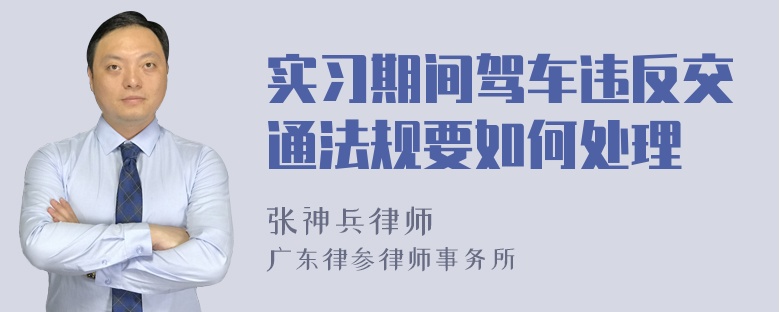 实习期间驾车违反交通法规要如何处理