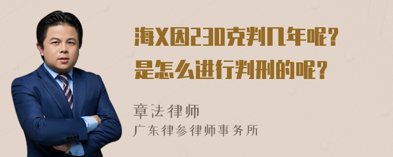 海X因230克判几年呢？是怎么进行判刑的呢？