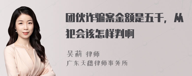 团伙诈骗案金额是五千，从犯会该怎样判啊