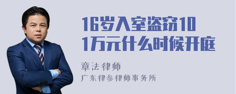 16岁入室盗窃101万元什么时候开庭