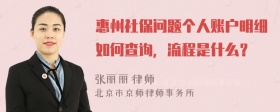 惠州社保问题个人账户明细如何查询，流程是什么？