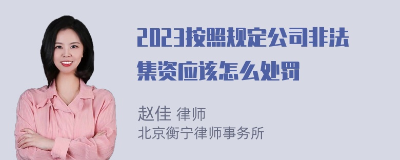 2023按照规定公司非法集资应该怎么处罚