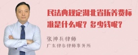 民法典规定湖北省抚养费标准是什么呢？多少钱呢？