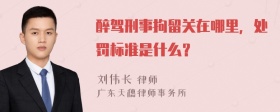 醉驾刑事拘留关在哪里，处罚标准是什么？