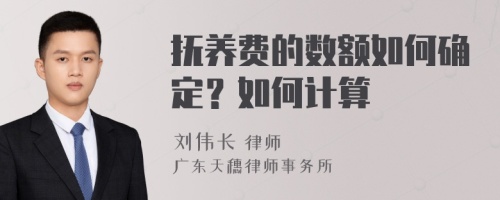 抚养费的数额如何确定？如何计算