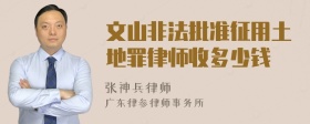 文山非法批准征用土地罪律师收多少钱