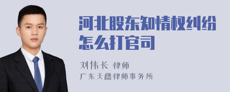 河北股东知情权纠纷怎么打官司