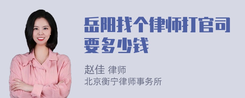 岳阳找个律师打官司要多少钱