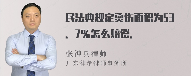 民法典规定烫伤面积为53．7％怎么赔偿．