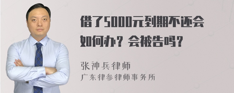 借了5000元到期不还会如何办？会被告吗？