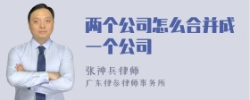 两个公司怎么合并成一个公司