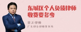 东城区个人负债律师收费要多少