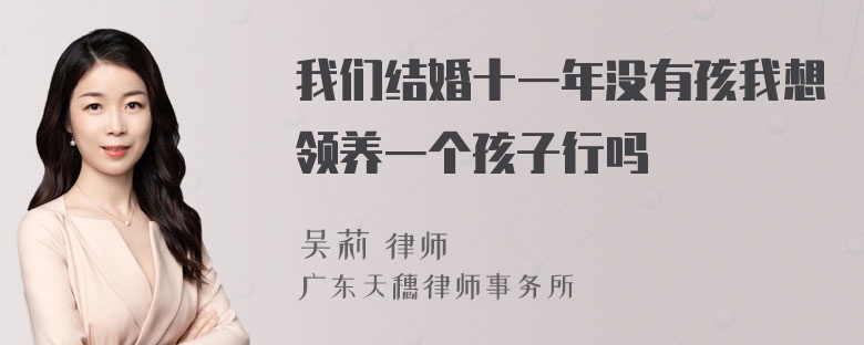 我们结婚十一年没有孩我想领养一个孩子行吗