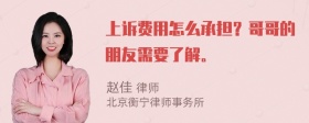 上诉费用怎么承担？哥哥的朋友需要了解。