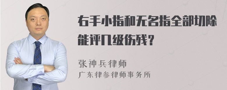 右手小指和无名指全部切除能评几级伤残？