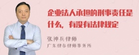 企业法人承担的刑事责任是什么，有没有法律规定