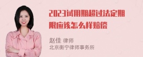 2023试用期超过法定期限应该怎么样赔偿