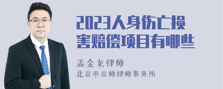 2023人身伤亡损害赔偿项目有哪些