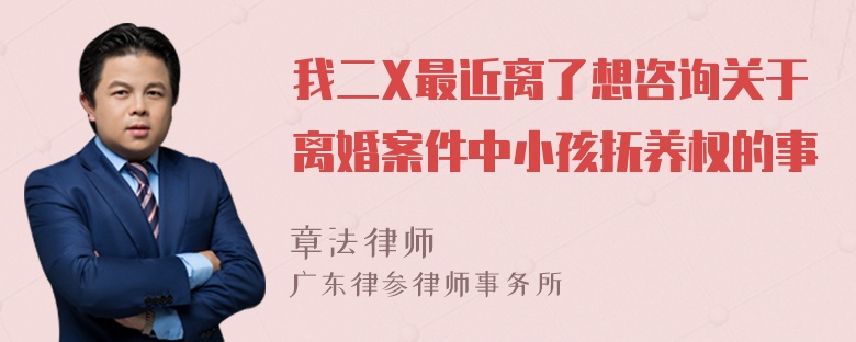 我二X最近离了想咨询关于离婚案件中小孩抚养权的事