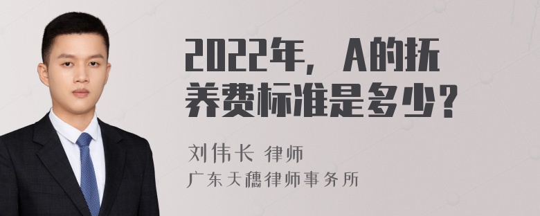 2022年，A的抚养费标准是多少？