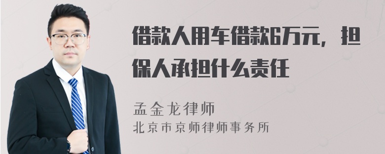 借款人用车借款6万元，担保人承担什么责任