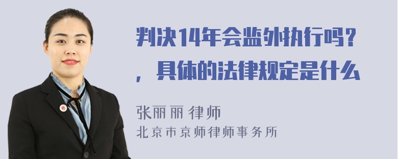 判决14年会监外执行吗？，具体的法律规定是什么