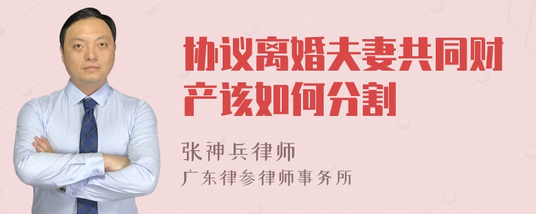 协议离婚夫妻共同财产该如何分割