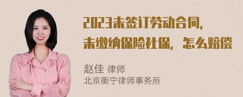 2023未签订劳动合同，未缴纳保险社保，怎么赔偿