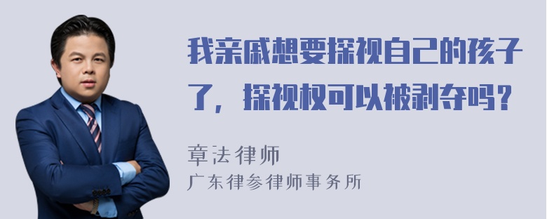 我亲戚想要探视自己的孩子了，探视权可以被剥夺吗？