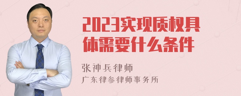2023实现质权具体需要什么条件