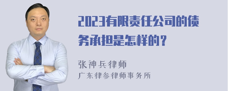 2023有限责任公司的债务承担是怎样的？