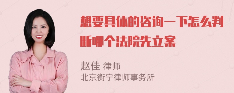 想要具体的咨询一下怎么判断哪个法院先立案