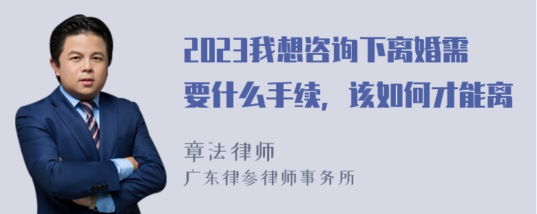 2023我想咨询下离婚需要什么手续，该如何才能离