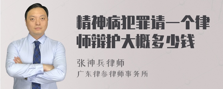 精神病犯罪请一个律师辩护大概多少钱