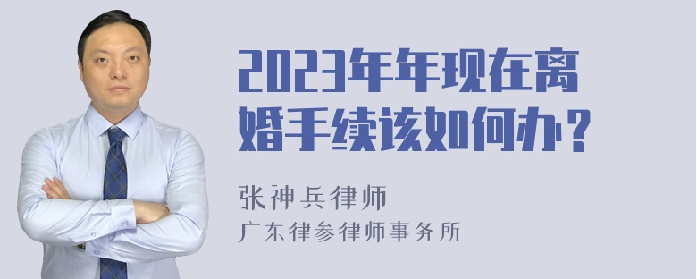 2023年年现在离婚手续该如何办？