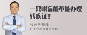 一只眼盲能不能办理残疾证？