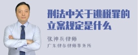 刑法中关于逃税罪的立案规定是什么