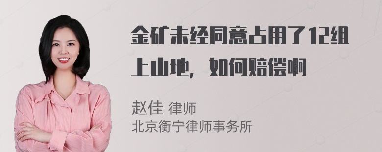 金矿未经同意占用了12组上山地，如何赔偿啊