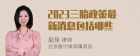 2023三胎政策最新消息包括哪些