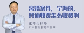 离婚案件，宁海的，具体收费怎么收费啊