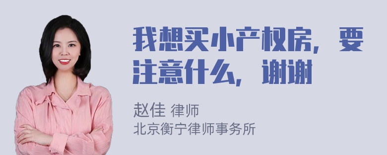 我想买小产权房，要注意什么，谢谢