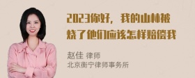 2023你好，我的山林被烧了他们应该怎样赔偿我