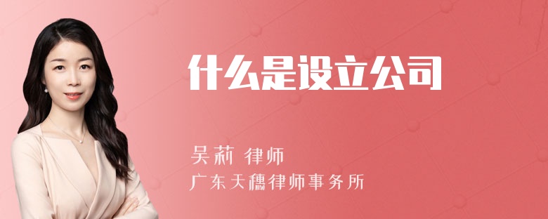 什么是设立公司