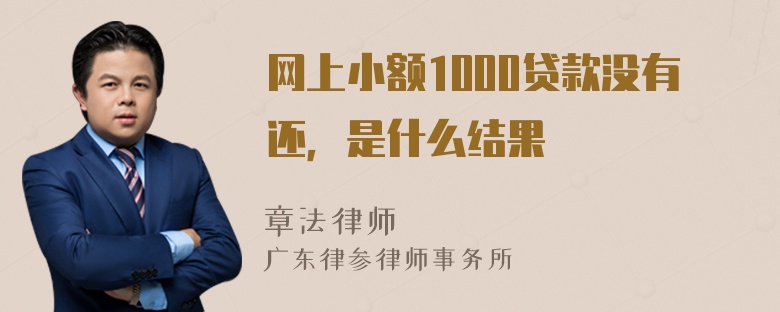 网上小额1000贷款没有还，是什么结果