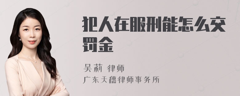 犯人在服刑能怎么交罚金